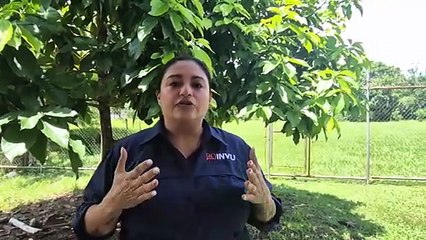 Conoce a Gabriela Madrigal, la Presidenta Ejecutiva de INVU 🌟
