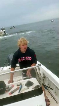 Angry Whale Attacks Small Boat in Portsmouth, New Hampshire, US 🇺🇸 (23.07.2024)