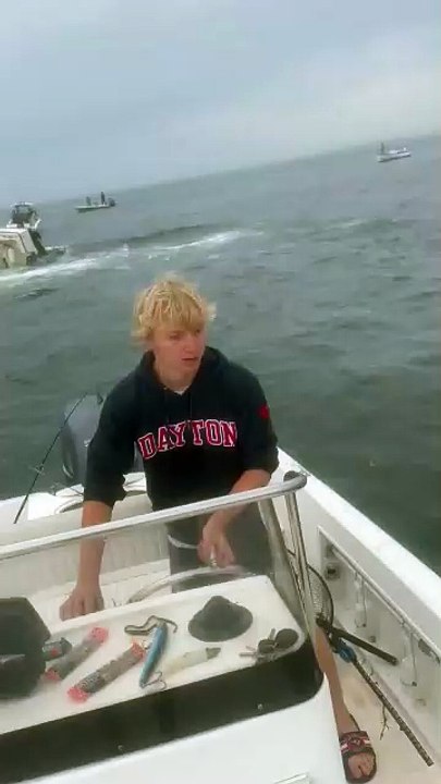 Angry Whale Attacks Small Boat in Portsmouth, New Hampshire, US 🇺🇸 (23.07.2024)