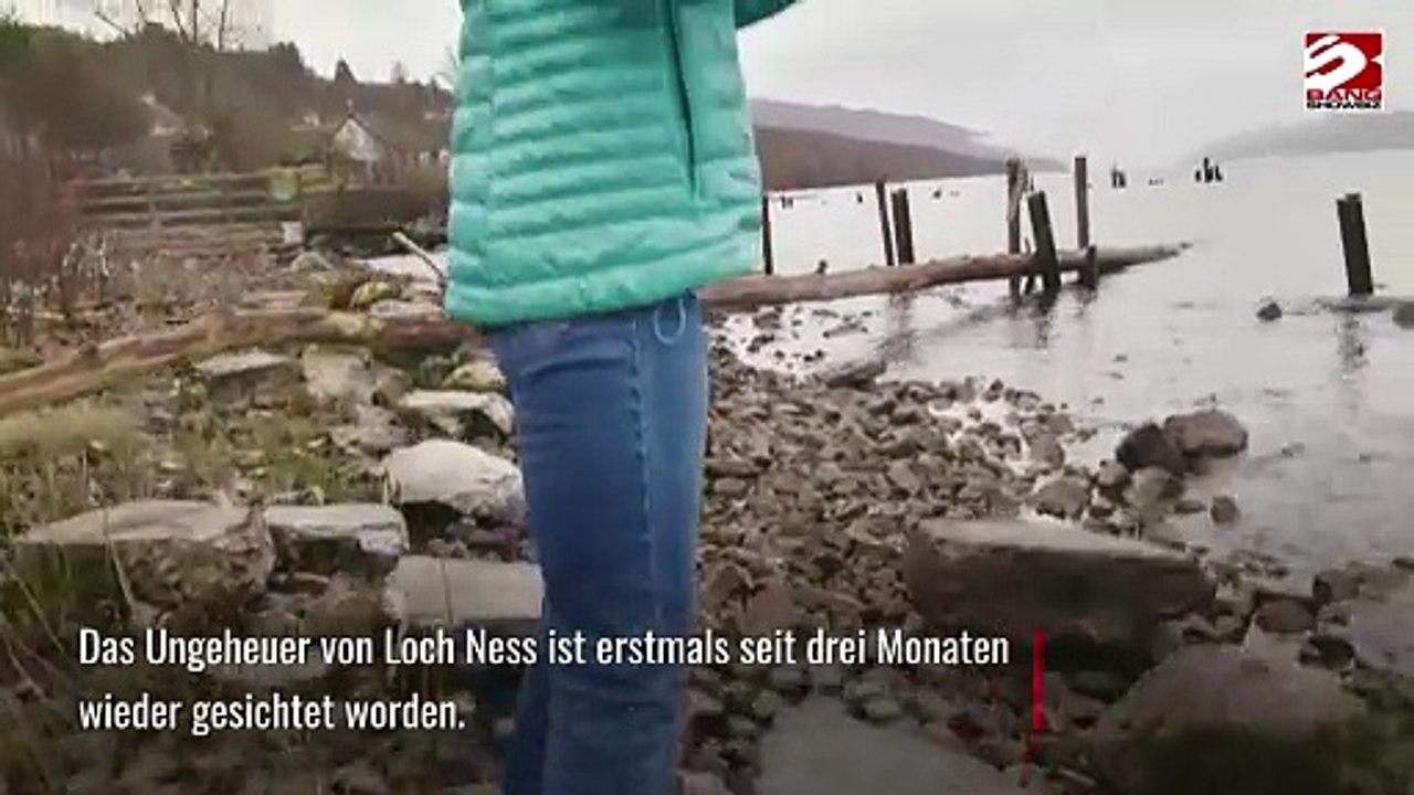 Ungeheuer von Loch Ness seit drei Monaten erstmals gesichtet