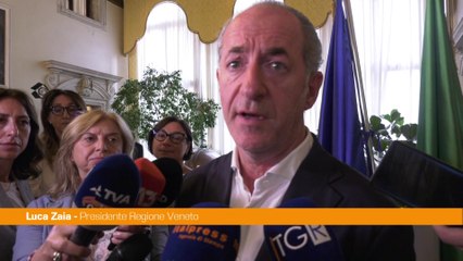 Zaia "Con il braccialetto elettronico sapremo dov'è il borseggiatore"