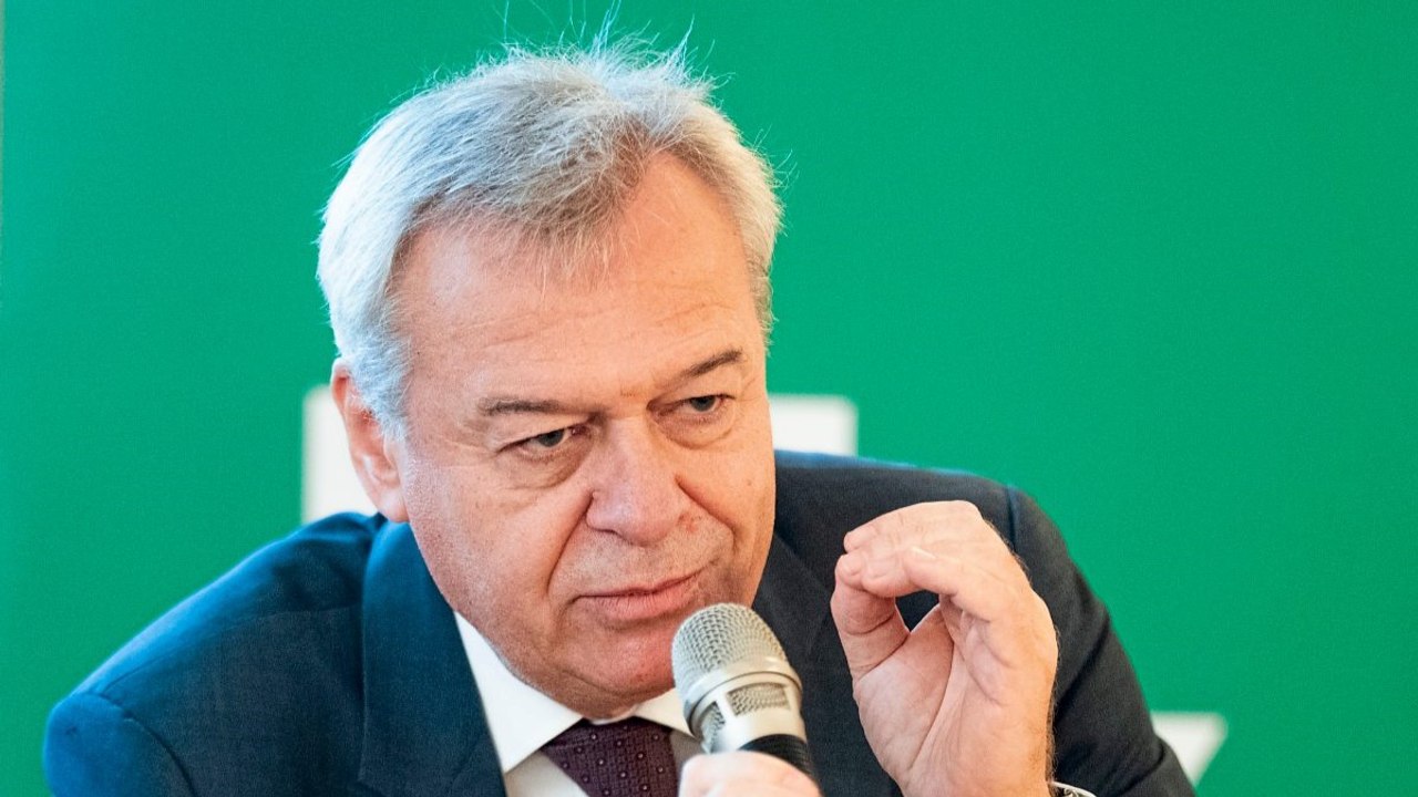 Trotz Top-Ernte: Weinbauverband sieht „Alkoholbashing“