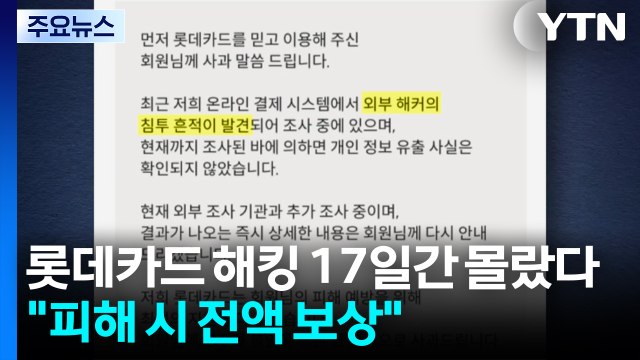 롯데카드 해킹 17일간 몰랐다...금감원 피해 시 전액 보상 / YTN