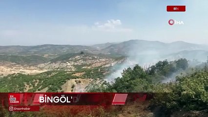 Bingöl’de orman yangını: Havadan karadan müdahale sürüyor
