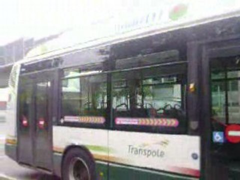 Citelis 12 gnv (10183)