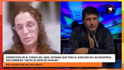 Expedición en el fondo del mar: estiman que tras el análisis de las muestras descubrirán “hasta 50 especies nuevas”