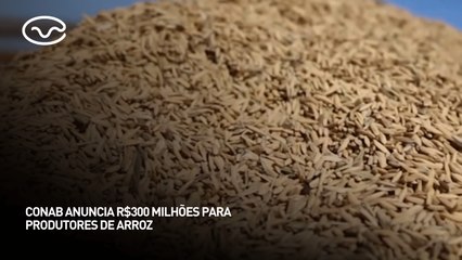 Conab anuncia R$ 300 milhões para produtores de arroz