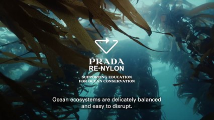In fondo al mar: un racconto tra moda e sostenibilità firmato Prada