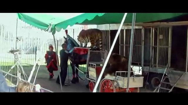 Basta animali nei circhi: il doc L'ultimo spettacolo racconta una storica, straordinaria liberazione