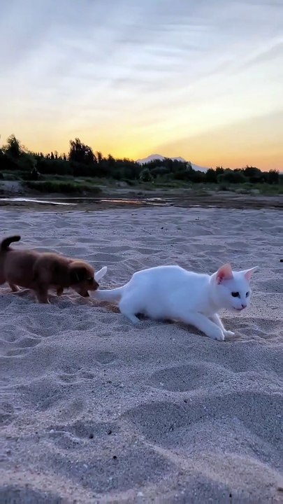 A beautifuf moment #21