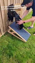 Ils construisent une petite porte dans leur clôture pour permettre à leurs chiens de se retrouver