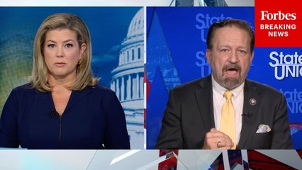 Sebastian Gorka And CNN's Keilar Have Tense Exchange Over Statistics Pertaining To Mass Shootings