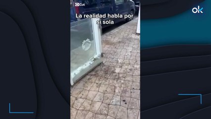 La suciedad se acumula en el Paseo Marítimo de Palma a pesar de las obras de remodelación y embellecimiento