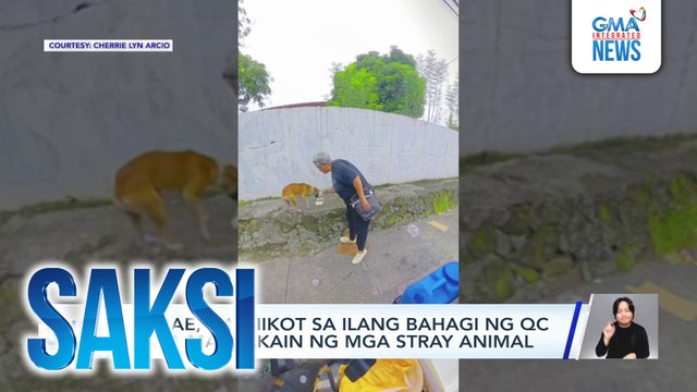 Babae, nag-iikot sa ilang bahagi sa QC para magpakain ng mga stray animal | Saksi