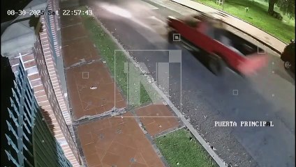 VIDEO: ¡No tuvo piedad! Atropelló a un perrito perdido que era buscado