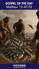 Matthew 13:47-53 #ParableOfTheNet #KingdomOfHeaven #Grace #Integrity #Wisdom #DailyReflection