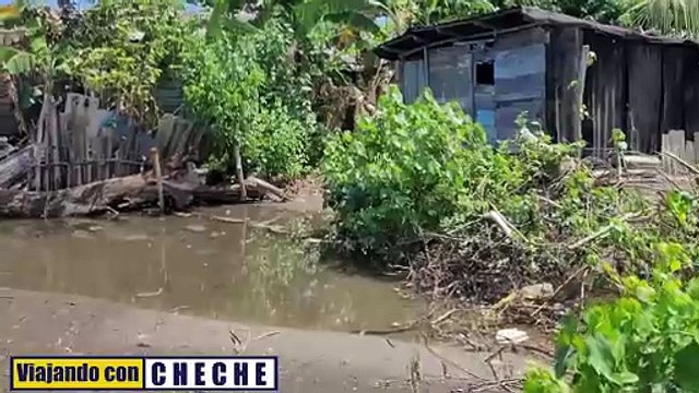 El Tibaracón de la Playita: La Belleza Cruda de un Rincón Oculto en Baracoa, Cuba