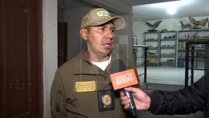 Sentenciado a un año de cárcel por cometer zoofilia contra un cordero en Punata