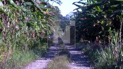 Terror en Chimoré: pareja fue baleada tras salir de una discoteca en el Trópico