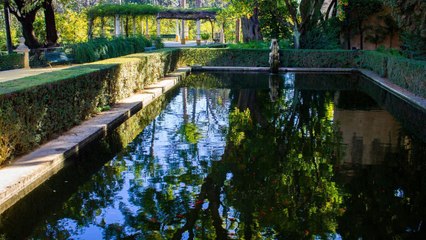 Piscines de rêve