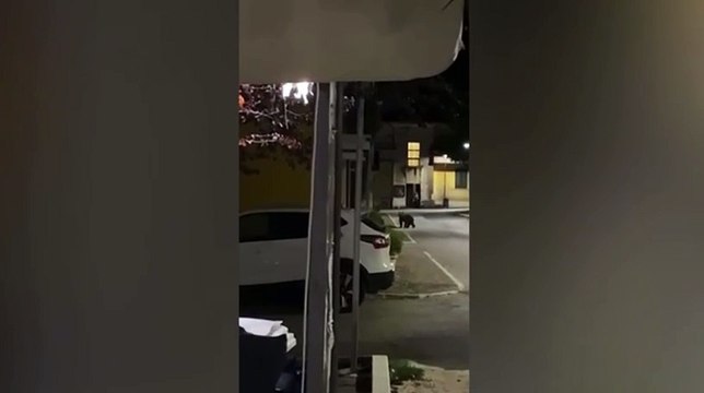 Image from field_mediaid