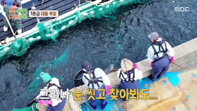 Gunwook Half-Star Hotel in Lost Island Ep. 2