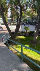 Coordinación con padres de familia; la visión de nueva directora de PFLC, Catalina Heredia.