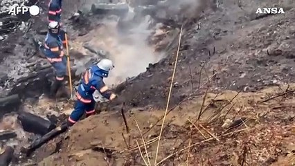 Incendi in Giappone, vigili del fuoco all'opera contro i peggiori degli ultimi 50 anni