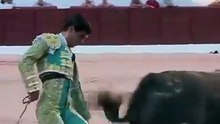 Aguado en Colmenar