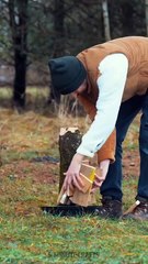 Incredible outdoor stove from tree stump for your gastronomy pleasures