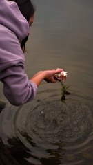 10 Genius Ways to Upcycle Junk Into Useful Stuff