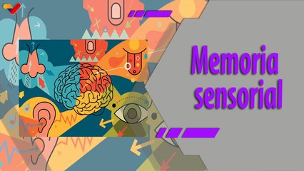 Al Día | Memoria sensorial