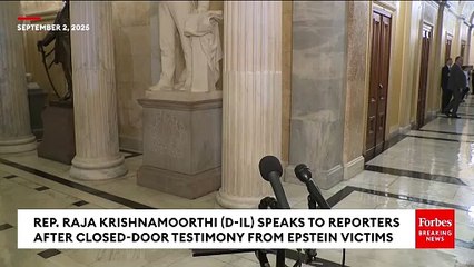 Raja Kristhnamoorthi Speaks To Reporters After Closed-Door Meetings With Epstein Victims