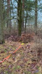 A stunning table to infinity from an abandoned crate in the woods ♻️