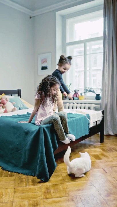 Kids vs Cat – The Funniest Bedroom Cricket Match Ever! 😹