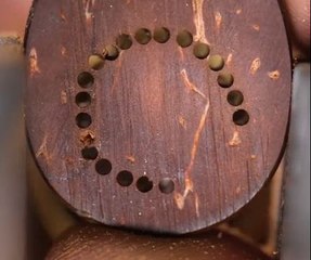 Island-Inspired DIYs! Transforming Coconuts into Art!