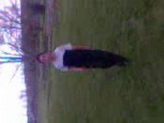 mickaël qui se ramasse une belle gamelle