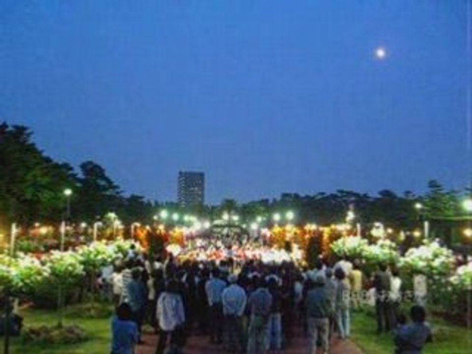 薔薇庭園ライトアップ　Garden  concert