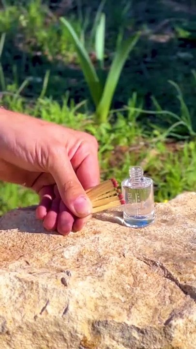 Don't Throw Cans And Bottles Away! Just Reuse Them In A Smart Way ♻