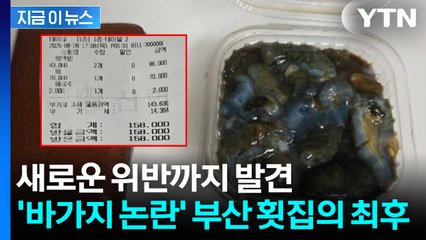 "이게 7만 원"...논란의 부산 횟집, 현장 점검하자 더 걸렸다 [지금이뉴스] / YTN