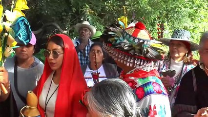 INPI presenta Programa Institucional 2025–2030 para fortalecer derechos de los Pueblos Indígenas y Afromexicanos