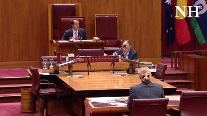 Senator Ross Cadell speaks about Newcastle Airport