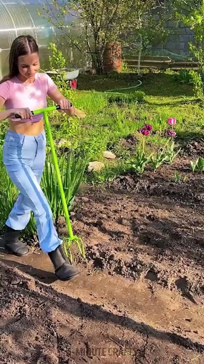 Genius garden hacks to save time and cash 🌿💰