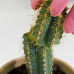 Easy Plant Care Hacks for Healthy, Happy Plants 🌿💚