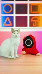 My Cat vs. The Squid Paper Challenge… Who Wins?! 🐱🦑🤣
