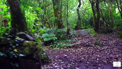 The Psychology of Acceptance  How Seniors Can Reframe Fear into Peace