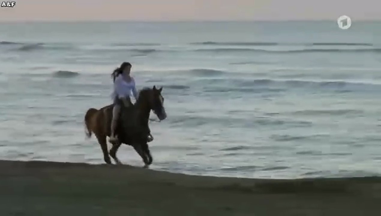 Utta Danella -10- Plötzlich ist es Liebe