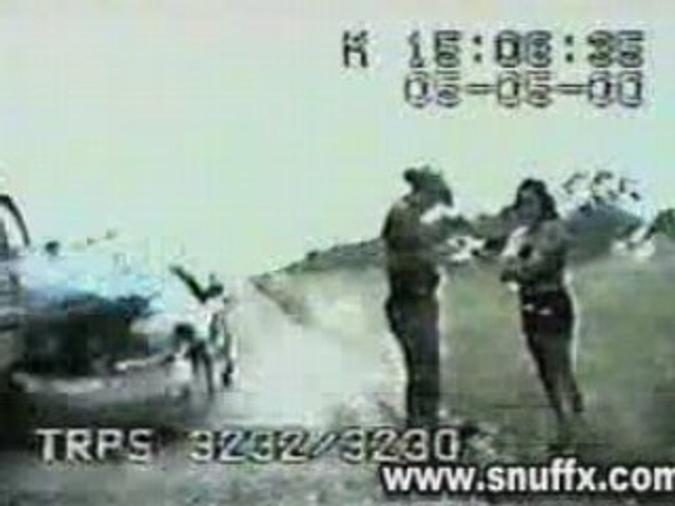 Police crash