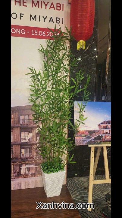 Chậu cây tre giả _ Xanhvina