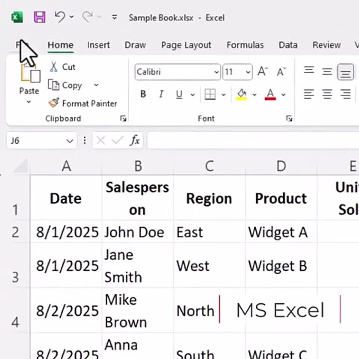 MS Excel Workbook Protection